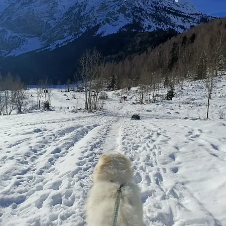Lejlighed Chaley Du Bayle Cauterets